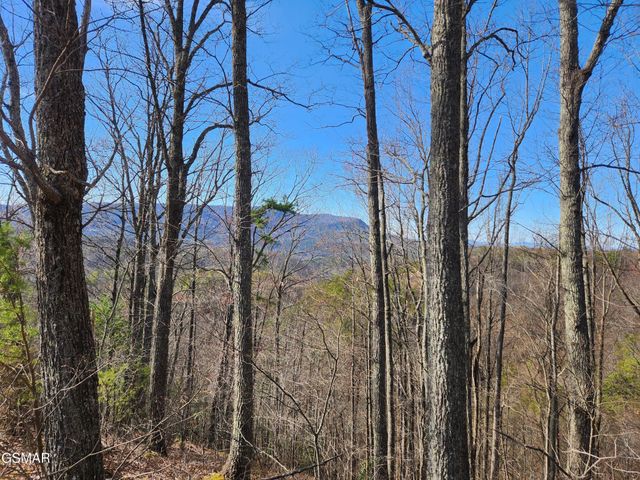 46 Feld Wynde Close Way, Sevierville, TN 37862