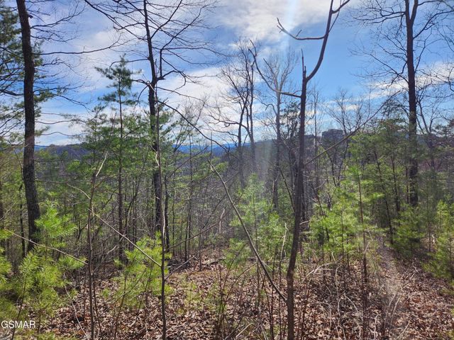 46 Feld Wynde Close Way, Sevierville, TN 37862