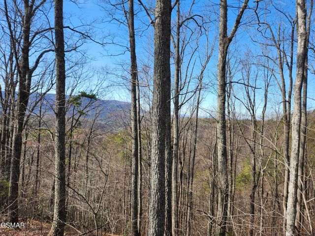 46 Feld Wynde Close Way, Sevierville, TN 37862