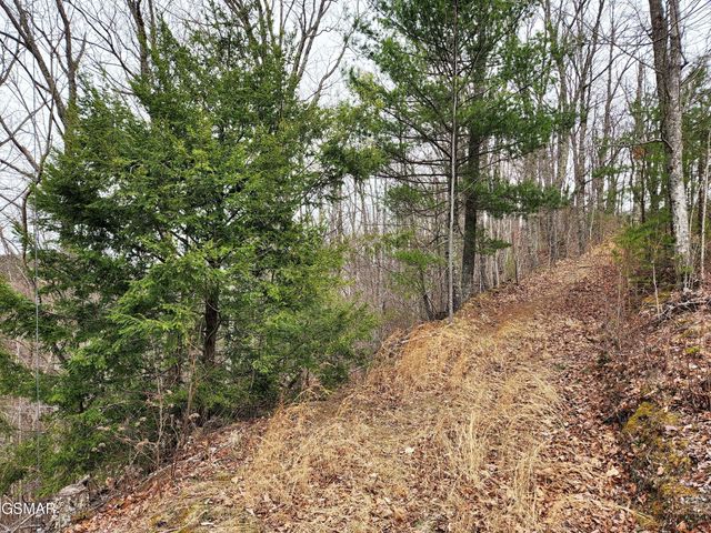 46 Feld Wynde Close Way, Sevierville, TN 37862