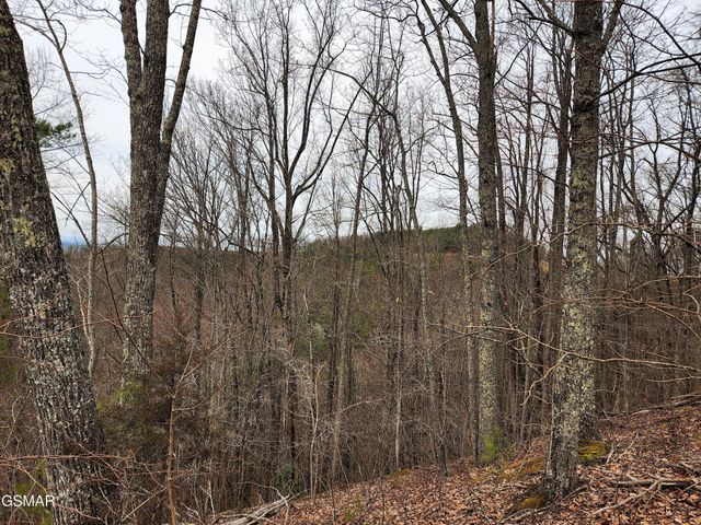 46 Feld Wynde Close Way, Sevierville, TN 37862