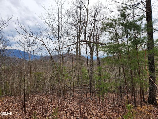 46 Feld Wynde Close Way, Sevierville, TN 37862