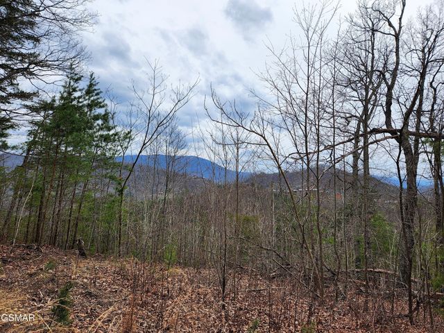 46 Feld Wynde Close Way, Sevierville, TN 37862