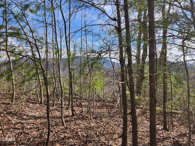 46 Feld Wynde Close Way, Sevierville, TN 37862