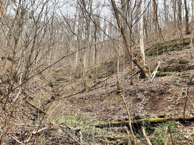 46 Feld Wynde Close Way, Sevierville, TN 37862