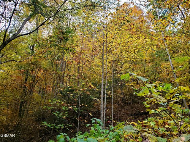 46 Feld Wynde Close Way, Sevierville, TN 37862