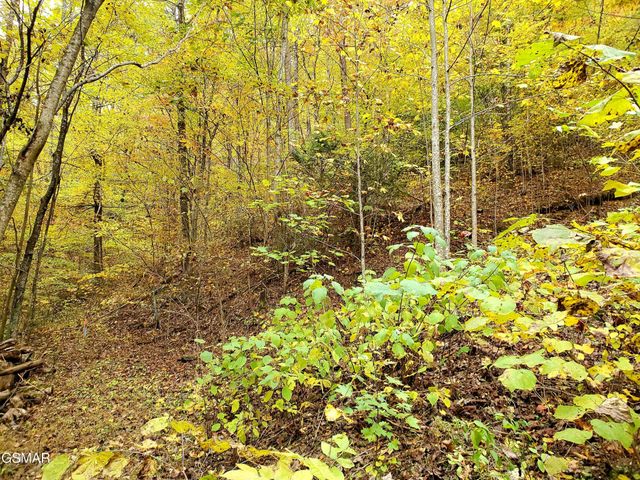 46 Feld Wynde Close Way, Sevierville, TN 37862