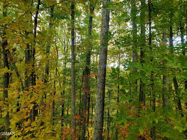 46 Feld Wynde Close Way, Sevierville, TN 37862