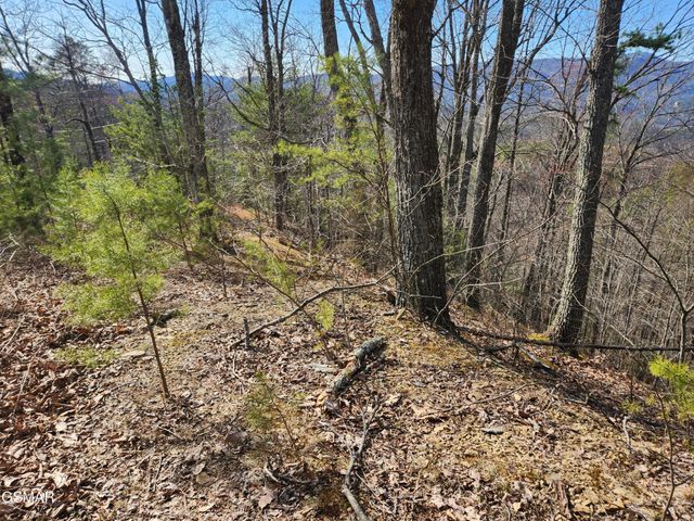 46 Feld Wynde Close Way, Sevierville, TN 37862