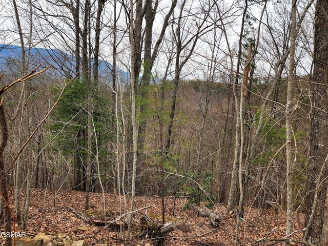 46 Feld Wynde Close Way, Sevierville, TN 37862
