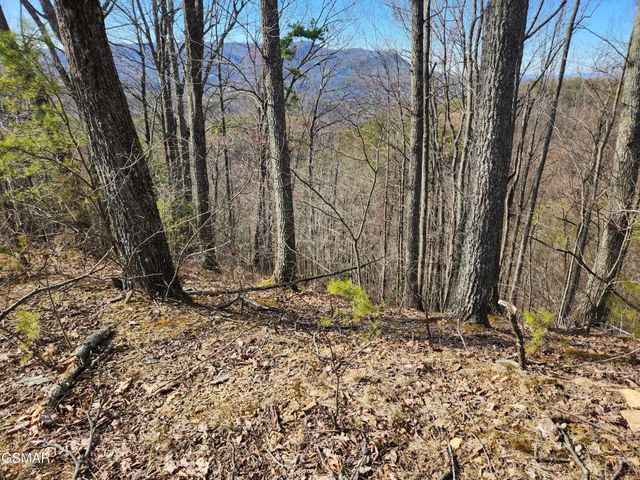 46 Feld Wynde Close Way, Sevierville, TN 37862
