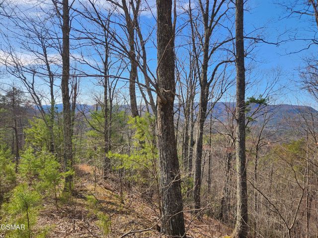46 Feld Wynde Close Way, Sevierville, TN 37862