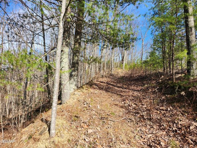 46 Feld Wynde Close Way, Sevierville, TN 37862