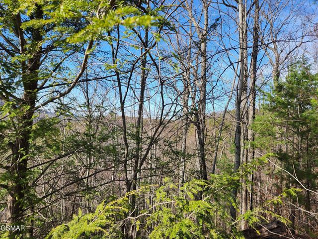 46 Feld Wynde Close Way, Sevierville, TN 37862