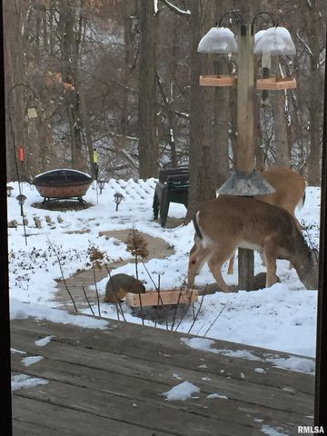 2553 CHAPEL HILL Drive, Springfield, IL 62702