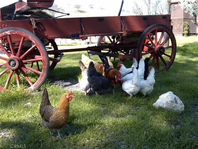 3470 Ranchita Cyn Rd, San Miguel, CA 93451