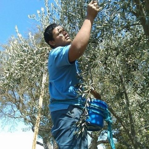 3470 Ranchita Cyn Rd, San Miguel, CA 93451