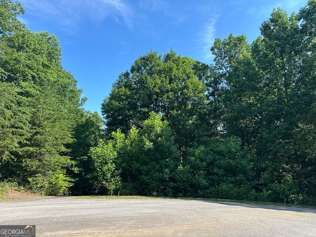 LOT 6,7,8,9,10 Clearview Drive, Cleveland, GA 30528