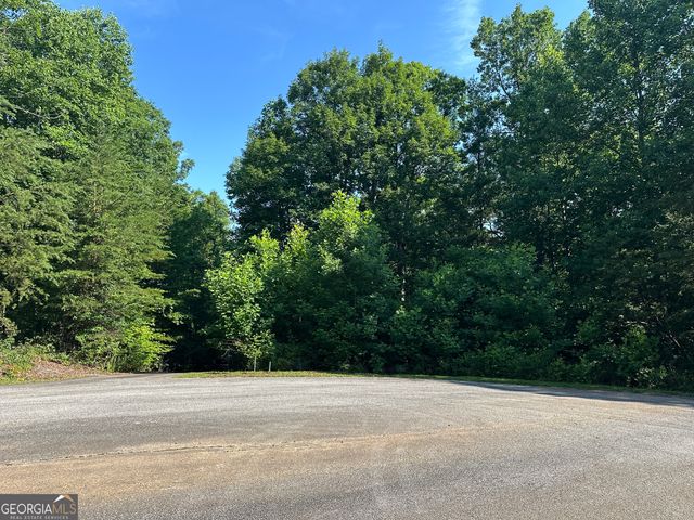 LOT 6,7,8,9,10 Clearview Drive, Cleveland, GA 30528