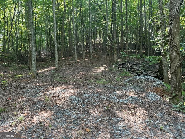 LOT 6,7,8,9,10 Clearview Drive, Cleveland, GA 30528