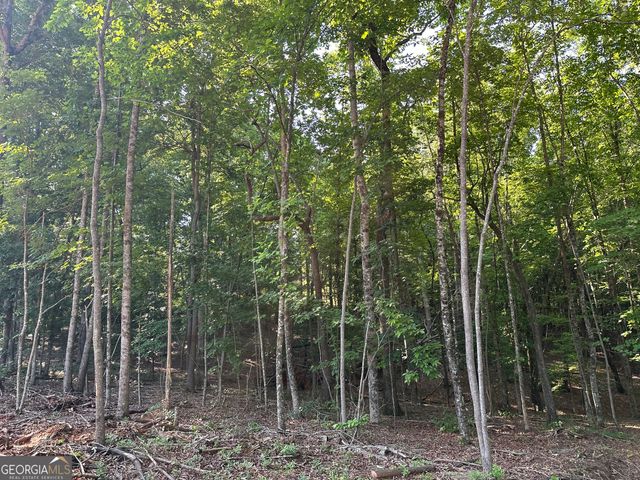 LOT 6,7,8,9,10 Clearview Drive, Cleveland, GA 30528