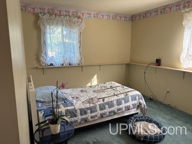 7753 Evergreen Drive, Munising, MI 49862