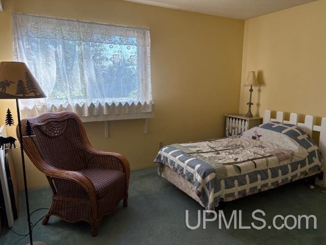 7753 Evergreen Drive, Munising, MI 49862