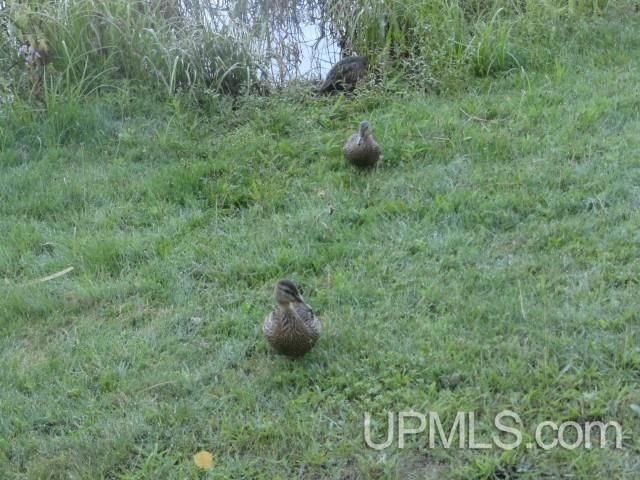 7753 Evergreen Drive, Munising, MI 49862