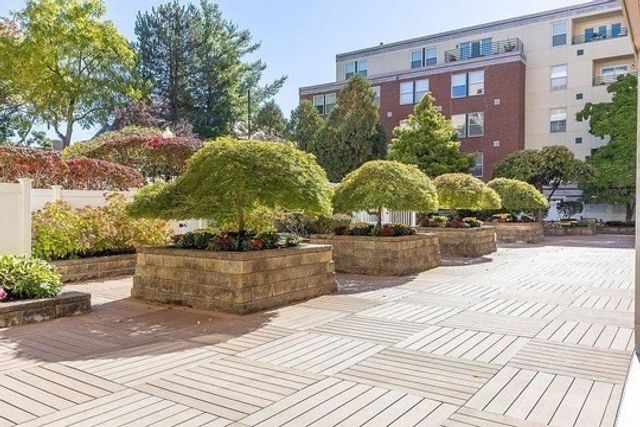 20 Webster St 503, Brookline, MA 02446