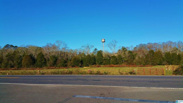 0 US HWY 231, Vincent, AL 35178