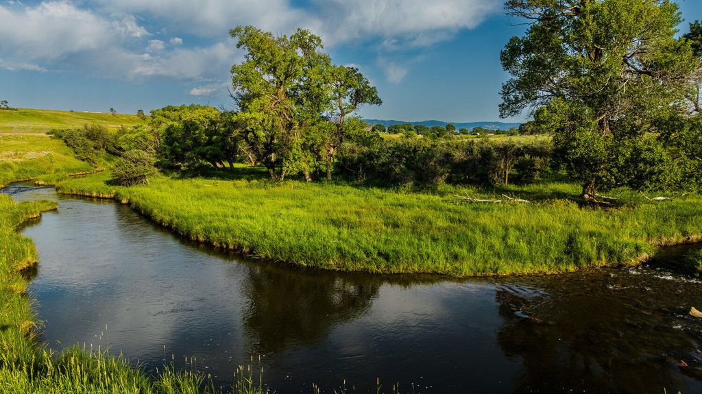 Rock Creek Road, Buffalo, WY 82834 photo 22