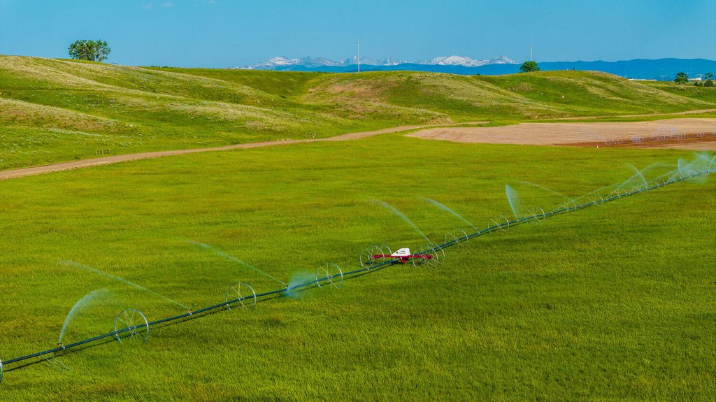 Rock Creek Road, Buffalo, WY 82834 photo 31