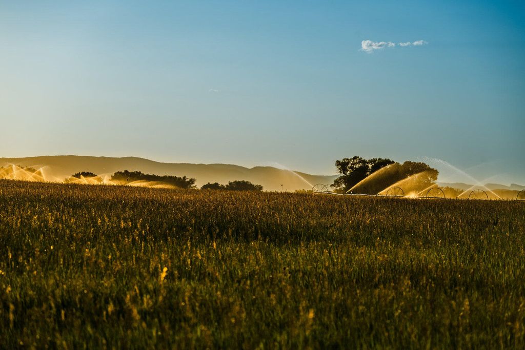 Rock Creek Road, Buffalo, WY 82834 photo 33