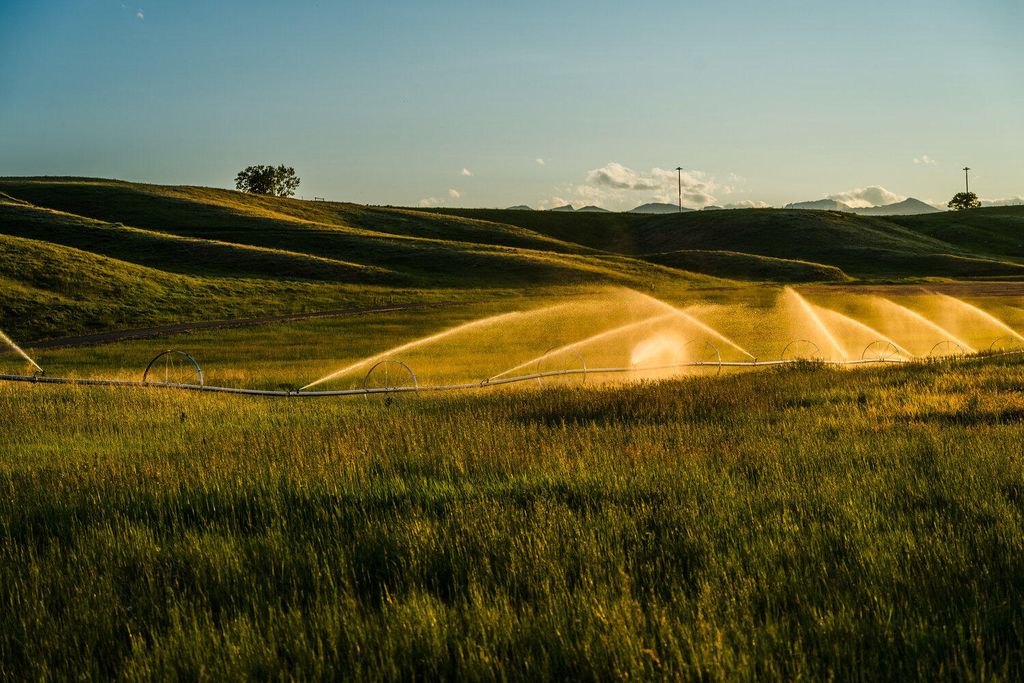 Rock Creek Road, Buffalo, WY 82834 photo 37
