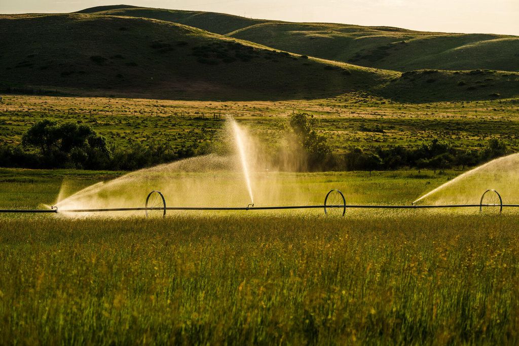 Rock Creek Road, Buffalo, WY 82834 photo 39