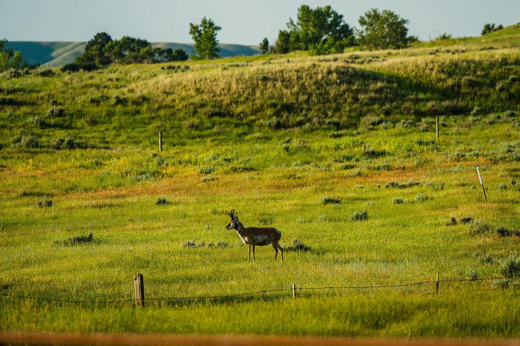 Rock Creek Road, Buffalo, WY 82834 photo 40