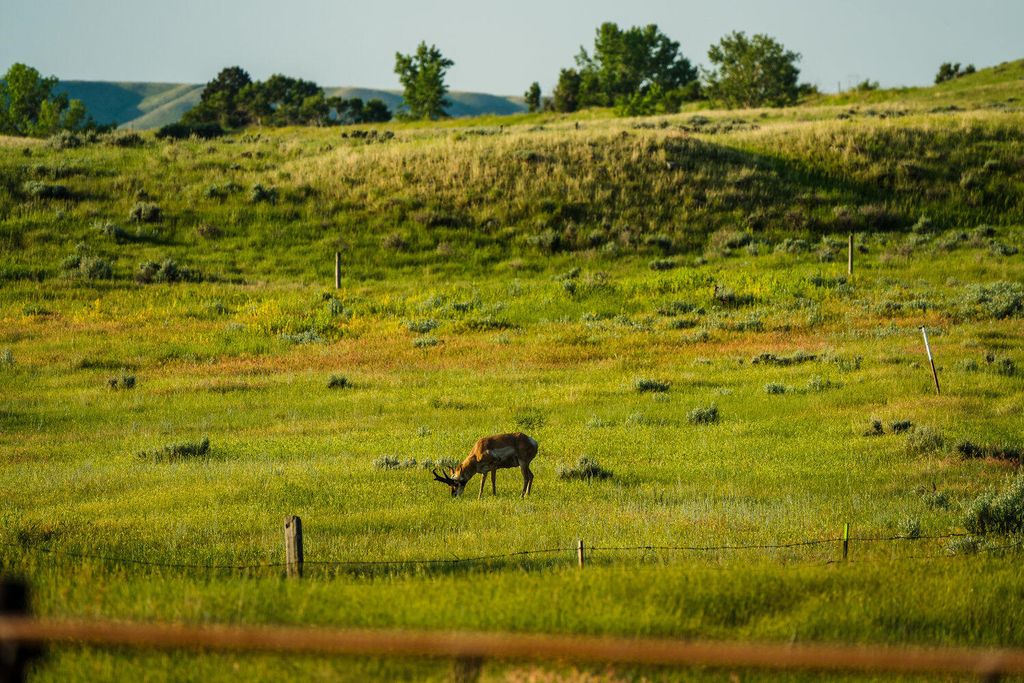 Rock Creek Road, Buffalo, WY 82834 photo 41