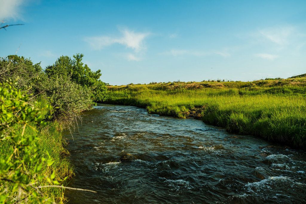 Rock Creek Road, Buffalo, WY 82834 photo 42