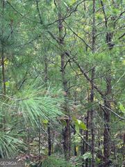 0 Skyline Drive, Rockmart, GA 30153