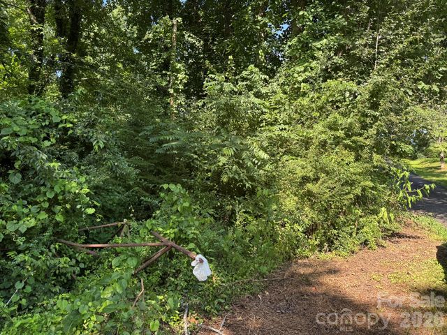 0 Arlington Extension, Bryson City, NC 28713