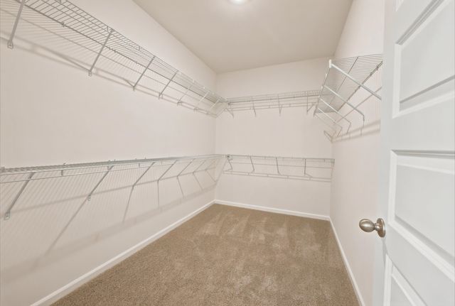 216 Blue Wing Court, Conway, SC 29527