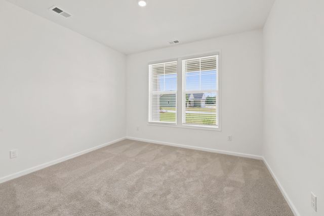 216 Blue Wing Court, Conway, SC 29527