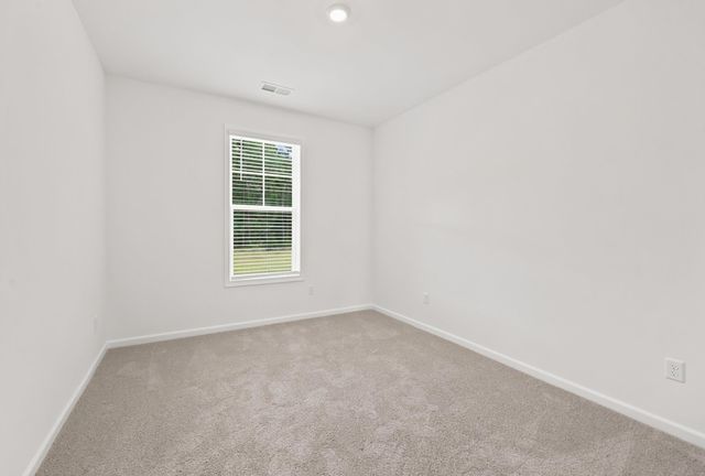 216 Blue Wing Court, Conway, SC 29527