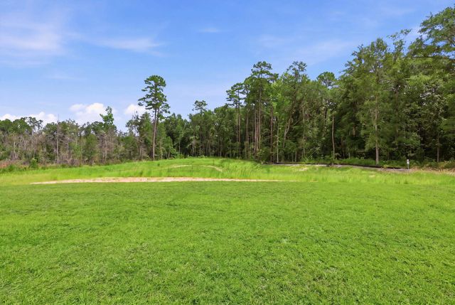 216 Blue Wing Court, Conway, SC 29527