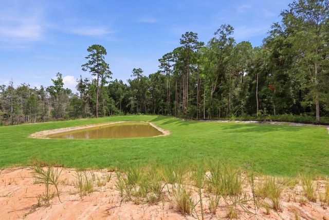 216 Blue Wing Court, Conway, SC 29527