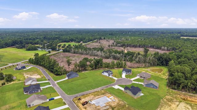216 Blue Wing Court, Conway, SC 29527