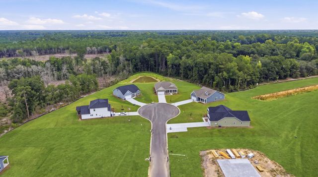 216 Blue Wing Court, Conway, SC 29527