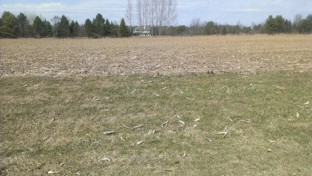 00 Nilsen Court, Harvard, IL 60033