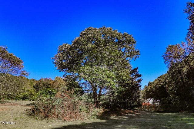 2409 Perilla Dr, Cosby, TN 37722