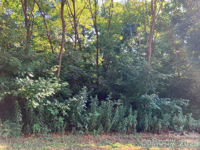 0 Grey Rock Parkway 225, Lake Lure, NC 28746